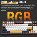 SKYLION K98 RGB Mechanical Keyboard with Bangla Front Keycaps (Wired) - Image 3